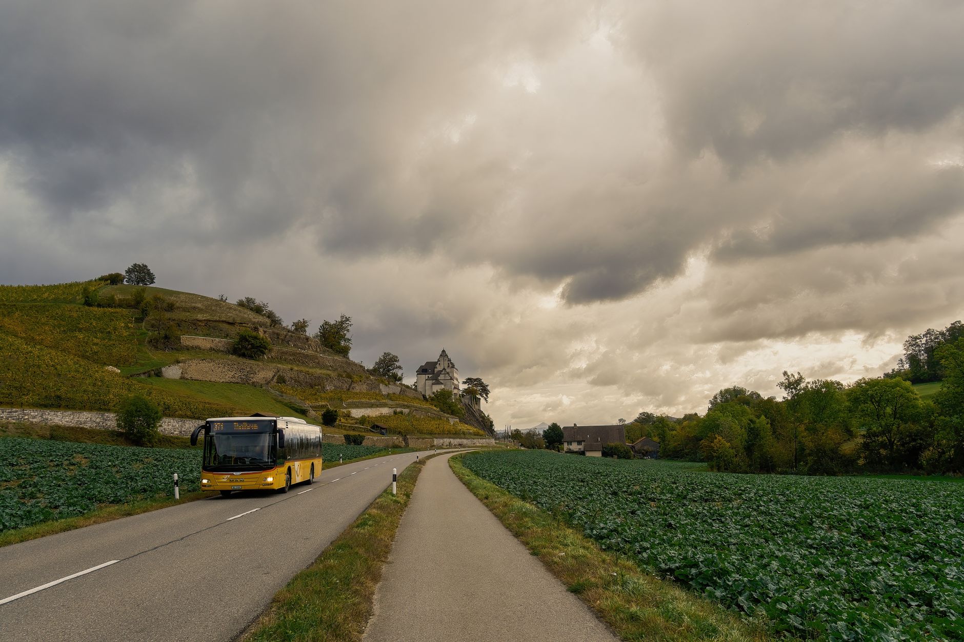 On-Demand-Verkehr: Kleinbus als Rufbus hält an einer Haltestelle im ländlichen Raum